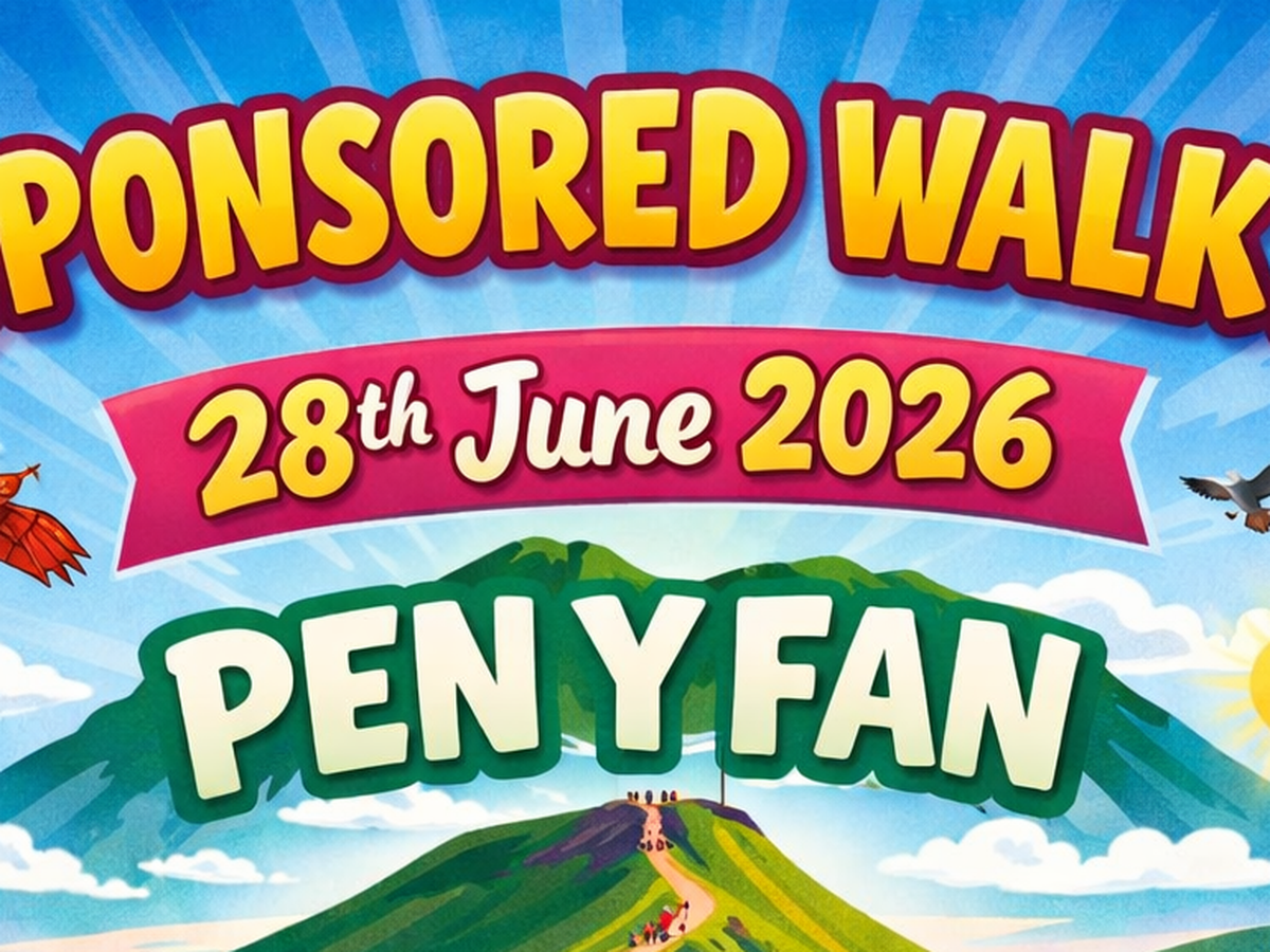 Fundraiser’s main image