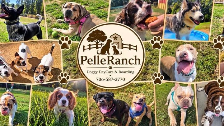 Support PelleRanch Through Forced Closure campaign photo, 1 of 8