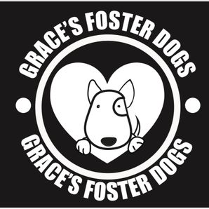 Graces Foster Dogs