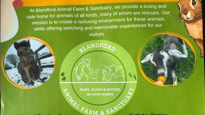 Support Our Sanctuary Animals – Feed, Farrier & Vet Care” campaign photo, 1 of 8