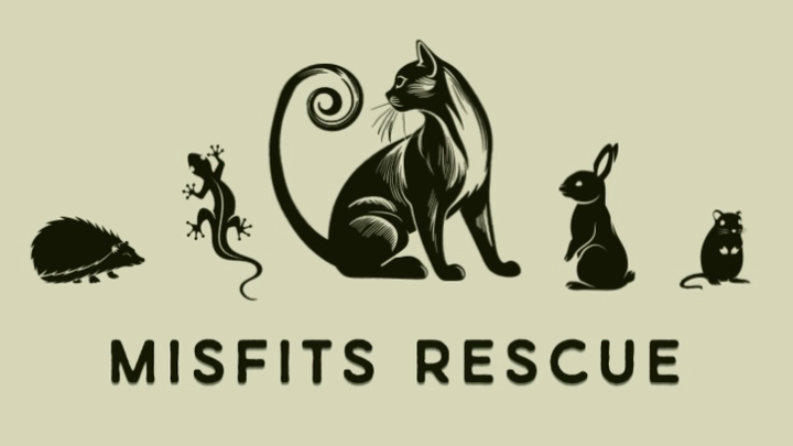 Support Misfits Rescue: Helping Animals in Need campaign photo, 1 of 3