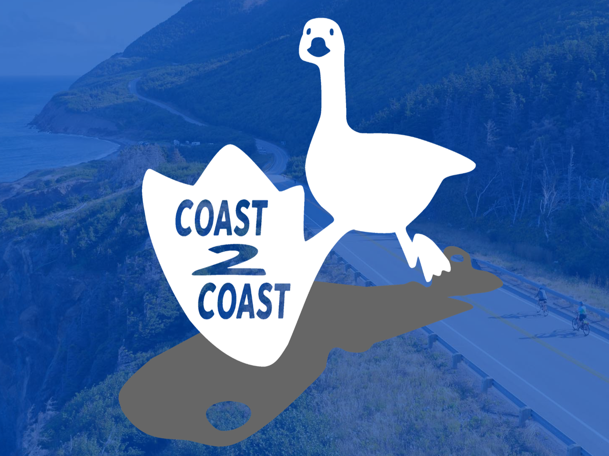Fundraiser’s main image