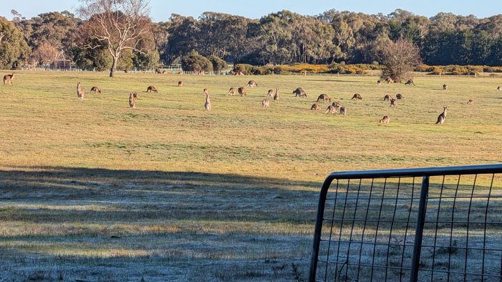 Help us protect Bald Hill and the rural character of Kyneton campaign photo, 1 of 6