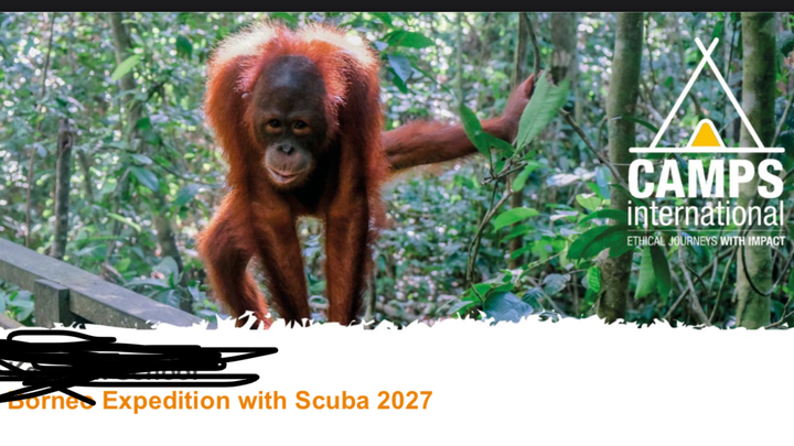 Saving to go on the school Borneo expedition campaign photo, 1 of 3