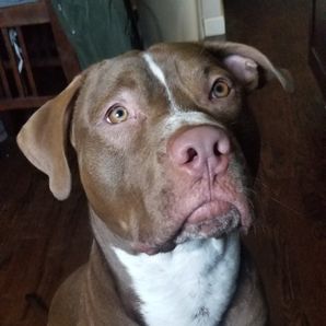 GoFundMe profile picture for @titus