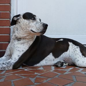 S.O.S. Save OUR Storm !!