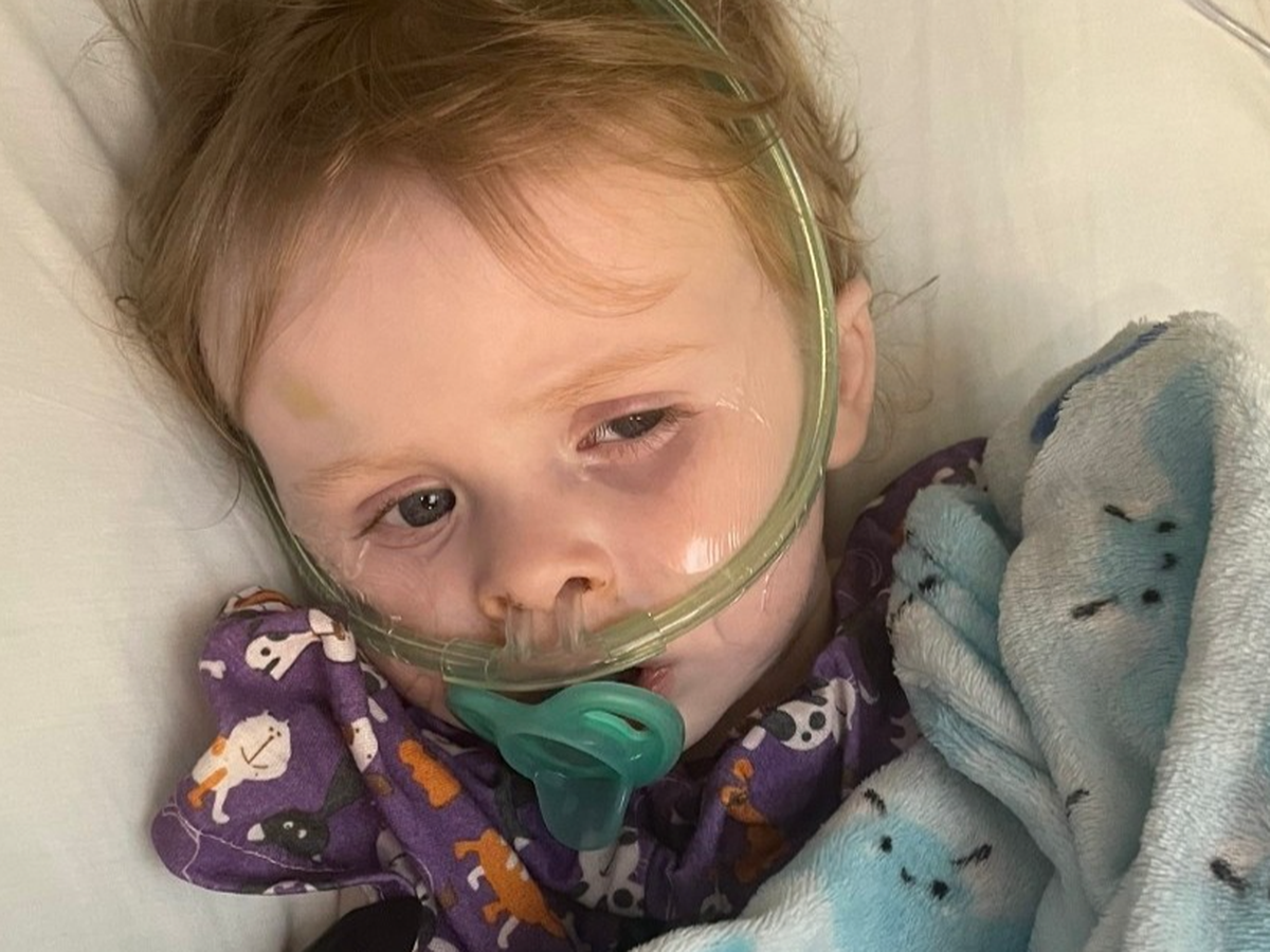 Help Silas Breathe Easy: Donate Now campaign photo, 1 of 7