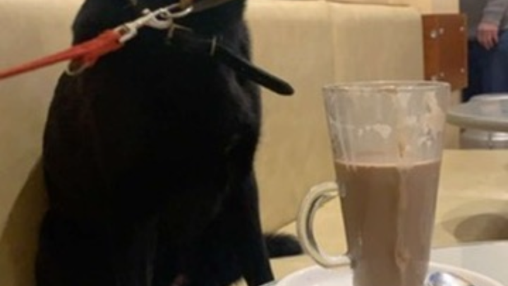 Hoofdafbeelding inzamelingsactie