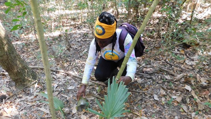 Gullah Geechee Land and Legacy Fund campaign photo, 1 of 4