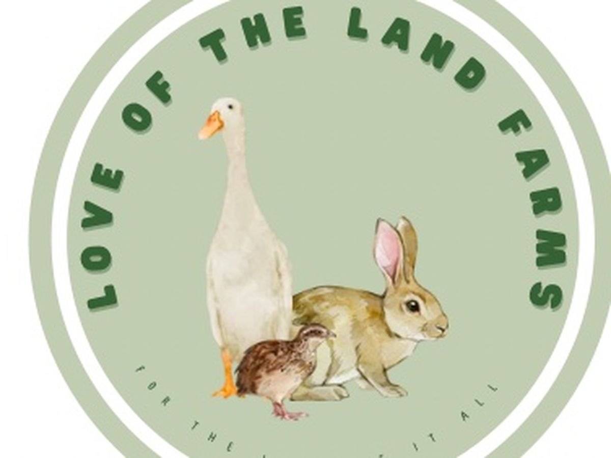 Fundraiser’s main image