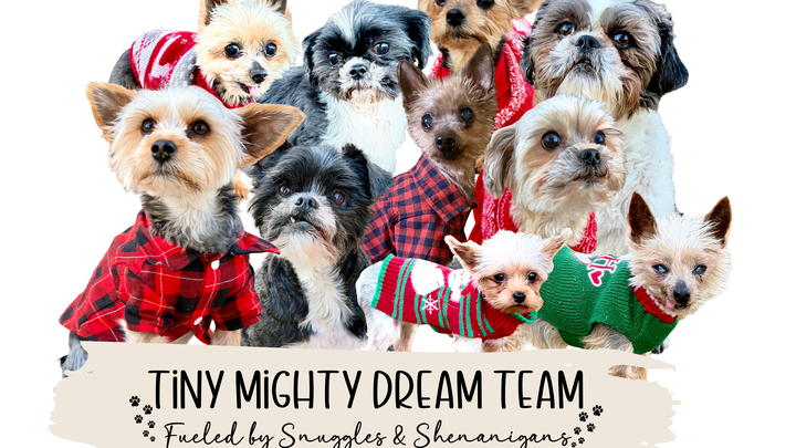 Support Tiny Mighty Team's Big Move campaign photo, 1 of 4