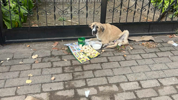 Main fundraiser photo