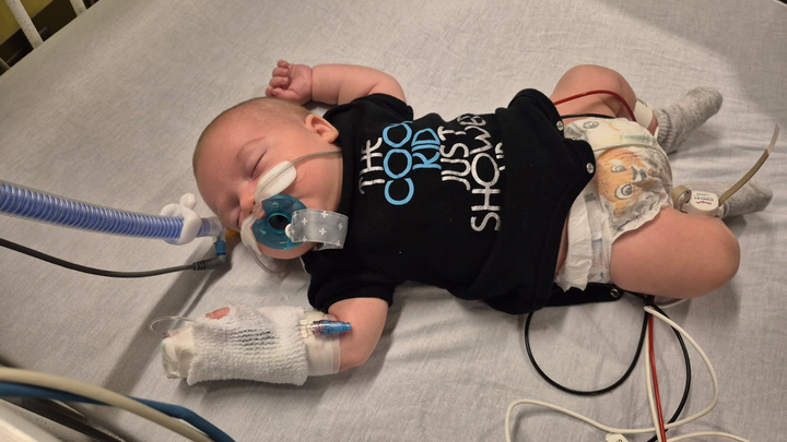 Help for Baby Asher and his family campaign photo, 1 of 6
