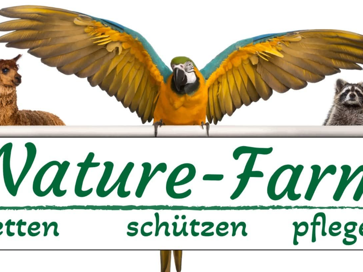 Fundraiser’s main image