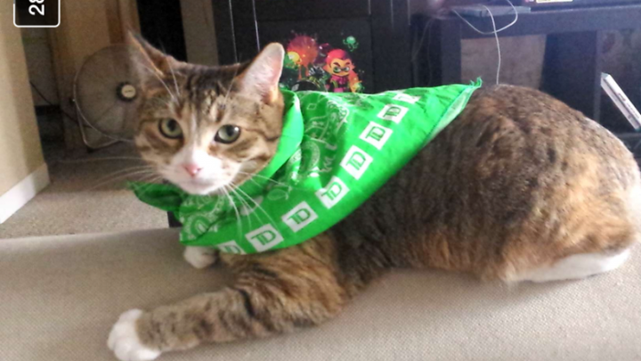 Main fundraiser photo