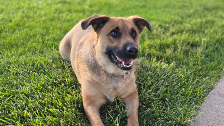Help Kiyra Recover: Support Her Surgery campaign photo, 1 of 8