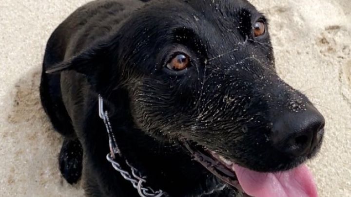 Main fundraiser photo