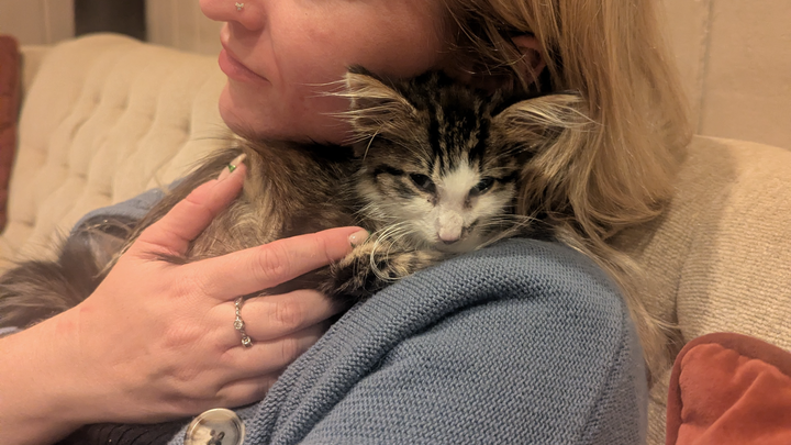 Frodo's FIP Fund campaign photo, 1 of 7