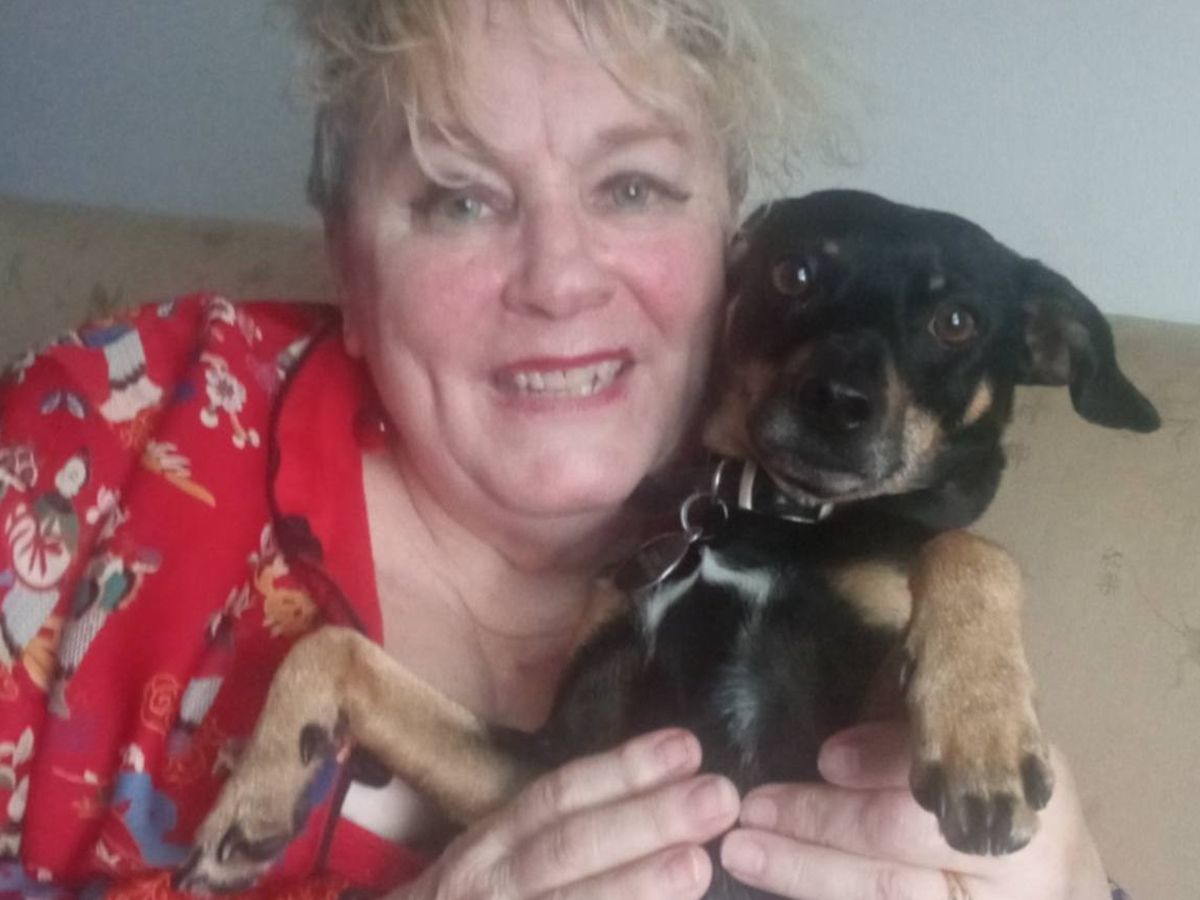 Fundraiser by Sarah Busse : Help Cate with Surgery Expenses