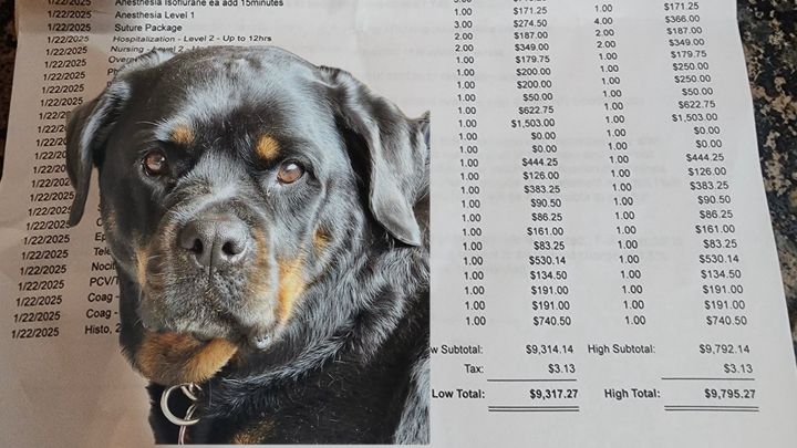 Main fundraiser photo