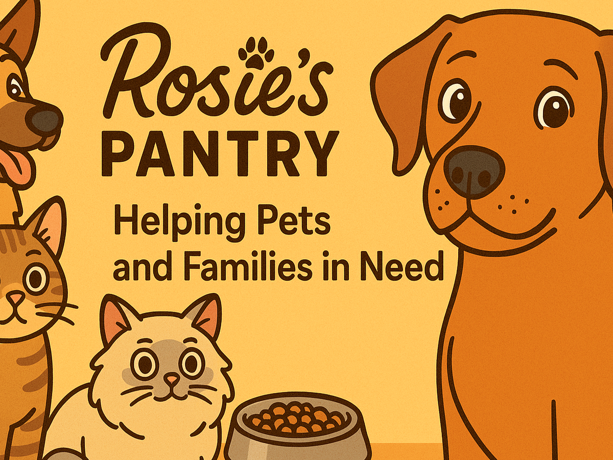 Fundraiser’s main image