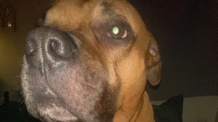 Help Fen Get Urgent Medical Care campaign photo, 1 of 6