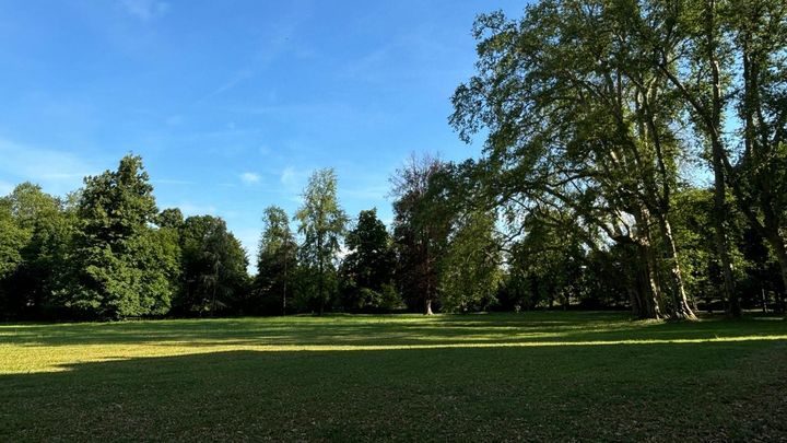 Foto della campagna Il Parco Cavour di Santena ha bisogno di Noi!, 1 di 7