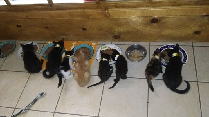 Main fundraiser photo