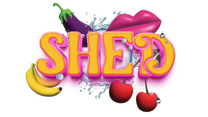 Help fund SHED Uk campaign photo, 1 of 5