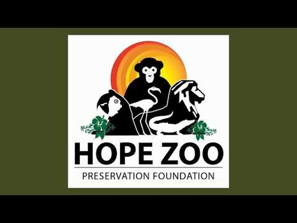 Fundraiser’s main image