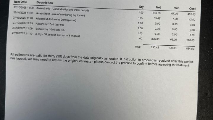 To get scan for my 9 month old kitten Sky campaign photo, 1 of 8