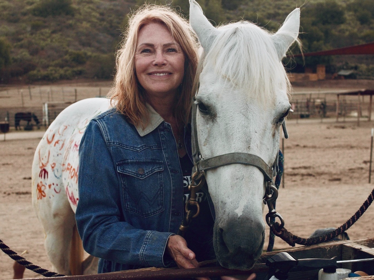 Fundraiser’s main image