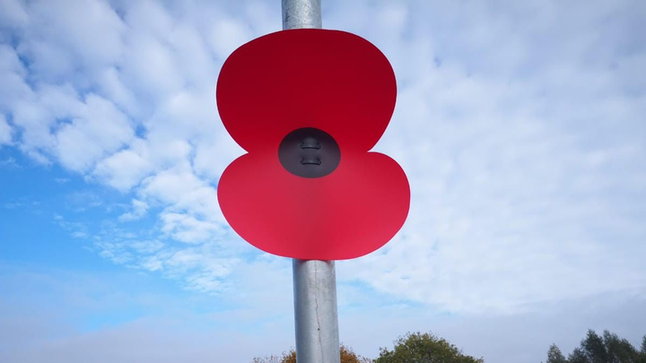 Buy poppys from the RBL to put up in Bridgwater campaign photo, 1 of 3