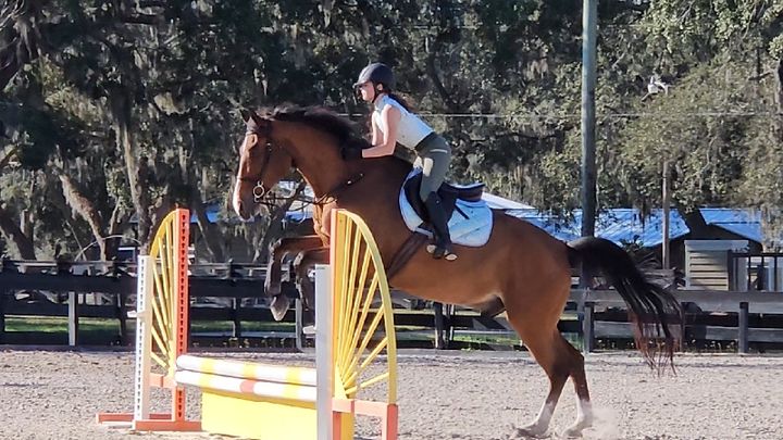 Help Gwen Achieve Her Equestrian Dreams campaign photo, 1 of 8