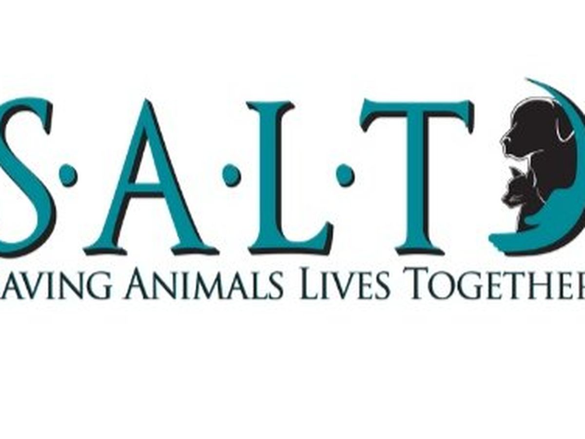 Fundraiser’s main image