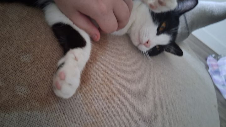 Help a Disabled Streamer Mum Keep Her Home campaign photo, 1 of 5