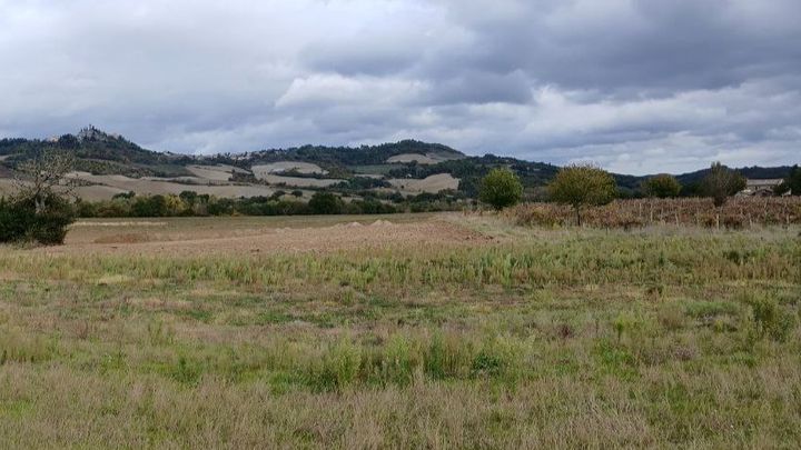 Aiutaci a salvare la piana di Santa Maria ad Urbania campaign photo, 1 of 6