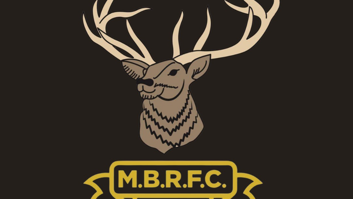 Help us replace our Defibrillator at Minehead Barbarians RFC campaign photo, 1 of 3