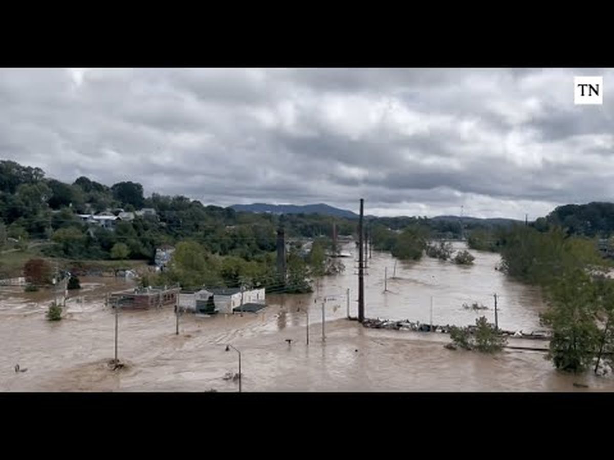 Imagen principal de la recaudación de fondos