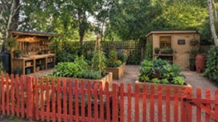 Nursery Garden Fundraising Appeal - Little Owls Nursery campaign photo, 1 of 3