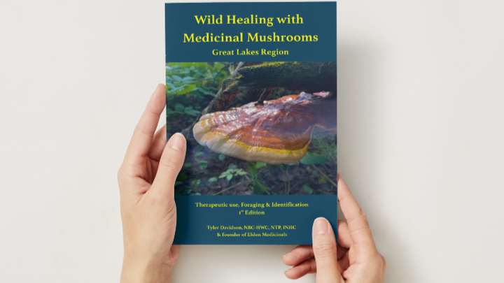Help bring Wild Healing with Medicinal Mushrooms to Print! campaign photo, 1 of 7