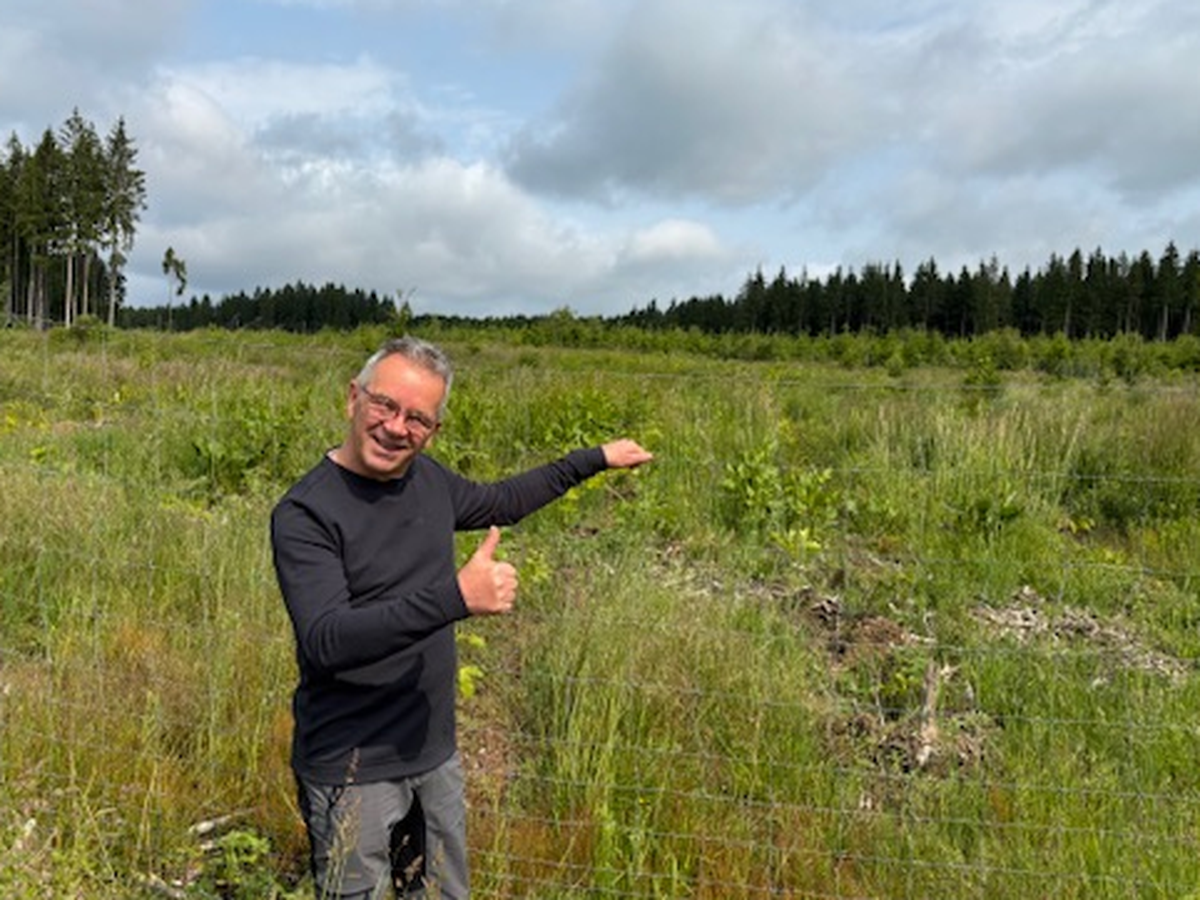 Zum Geburtstag, Gutes tun-Bäume für den Harz ! campaign photo, 1 of 8