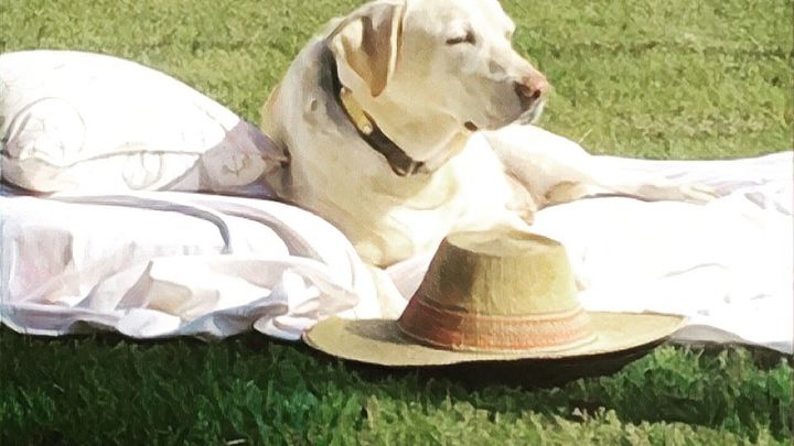 Main fundraiser photo