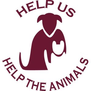 Galway SPCA