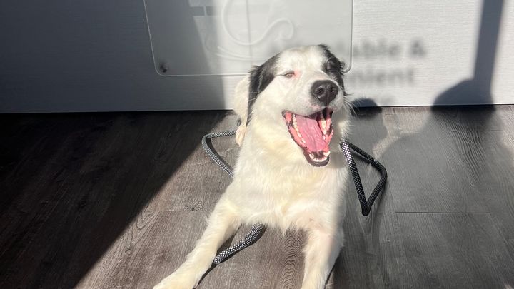 Hoofdafbeelding inzamelingsactie