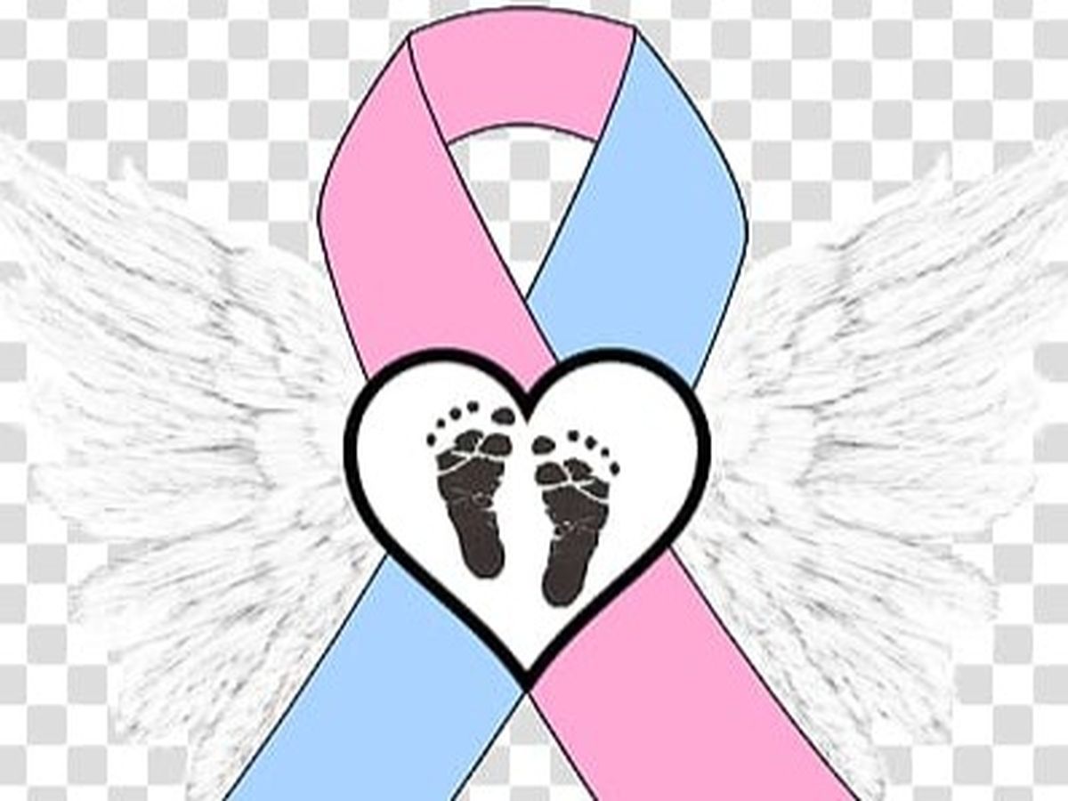 Fundraiser’s main image