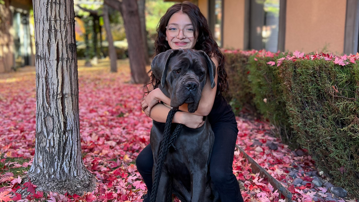 Help Save Bullet’s Life with Emergency Surgery campaign photo, 1 of 8