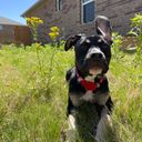 Profile photo of Diem Flores