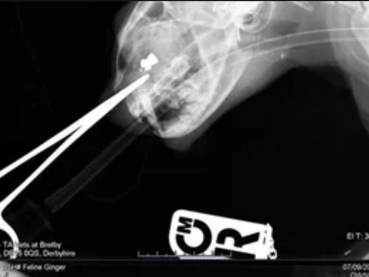 Fundraiser’s main image