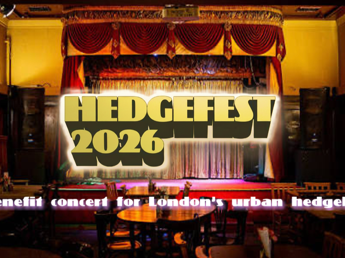 Fundraiser’s main image